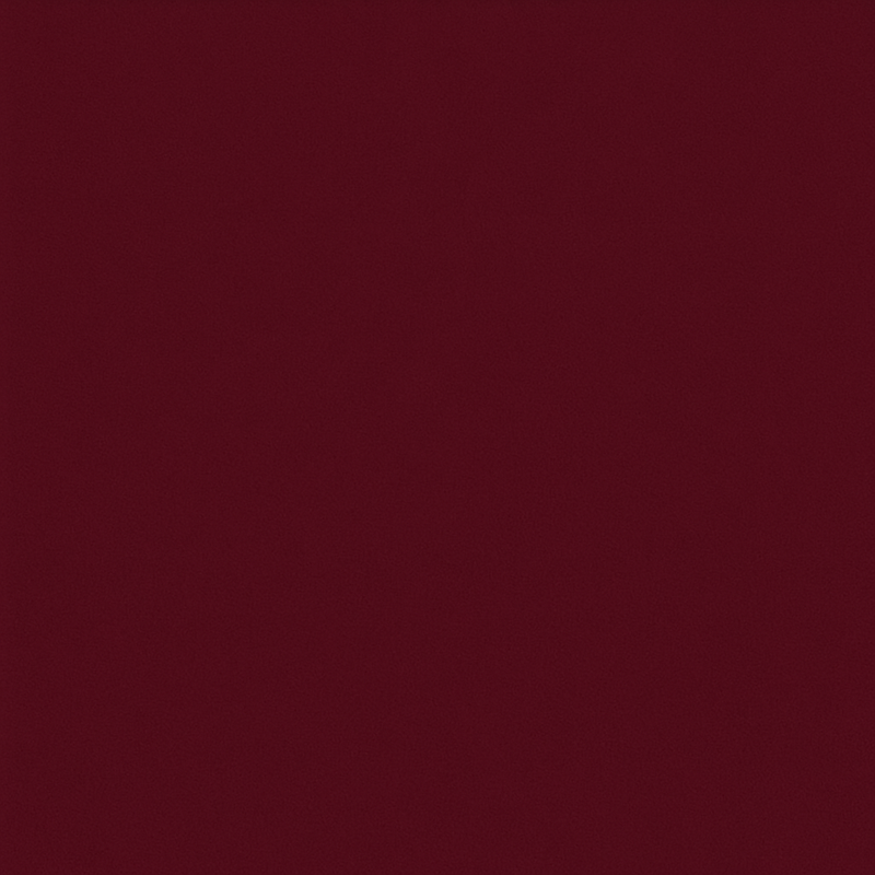 Burgundy Scoop singlet